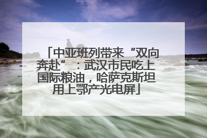 中亚班列带来“双向奔赴”：武汉市民吃上国际粮油，哈萨克斯坦用上鄂产光电屏